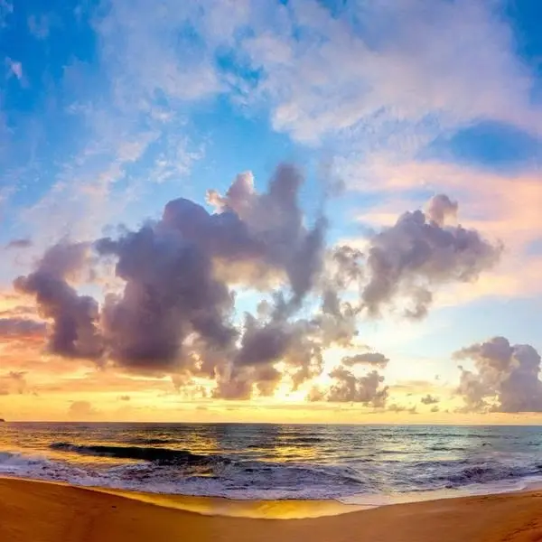 The Energy Prosperity Principles  |  In-person or Online