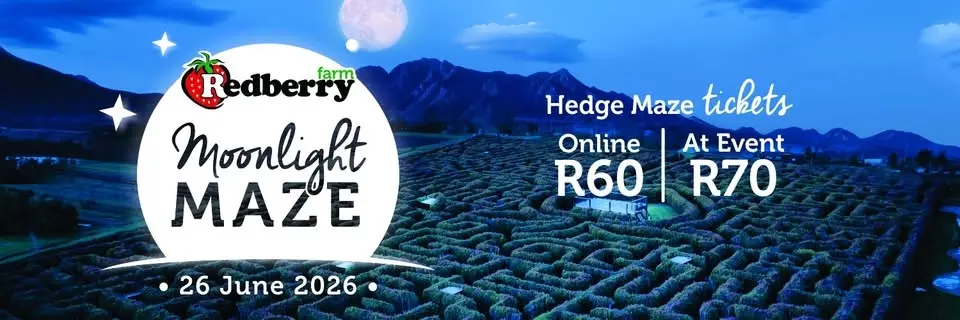 Moonlight Maze