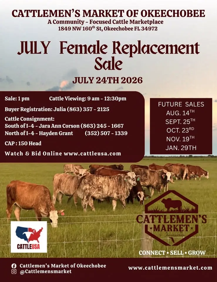 July Female Replacement Sale 