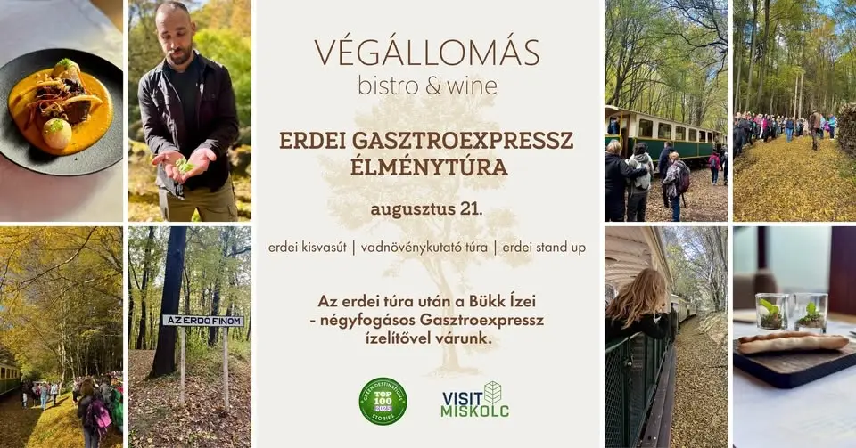 Erdei GasztroExpressz élménytúra l Augusztus