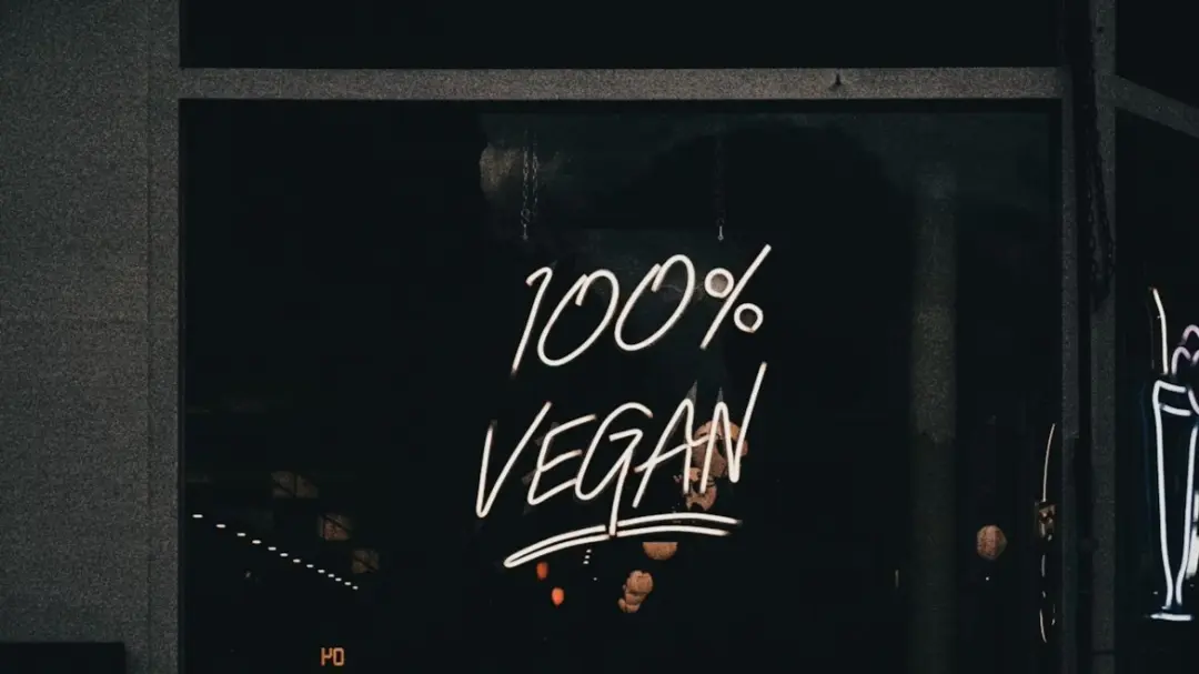 π±π Vegan Celebration Festival Gathering β Amsterdam ππ±