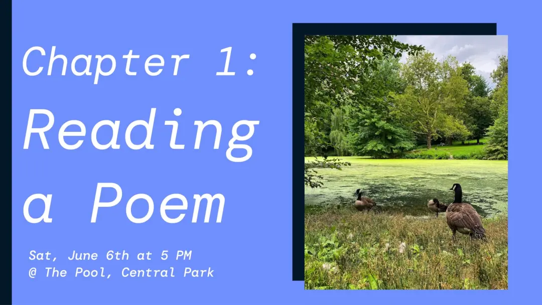 Summer of Poetry Chapter 1: Reading a Poem