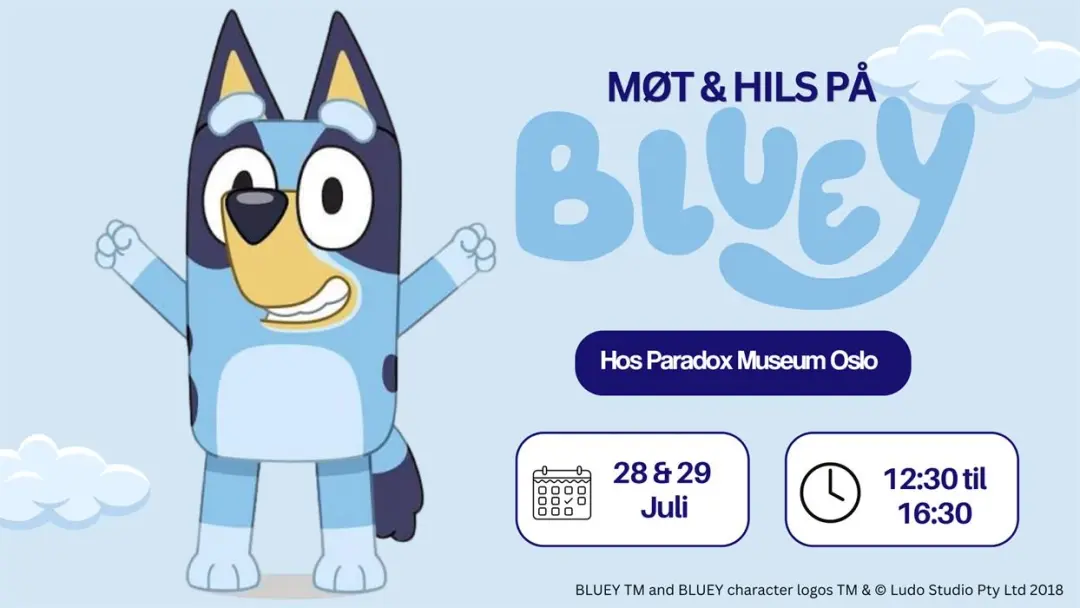 Bluey is visiting Paradox Museum Oslo