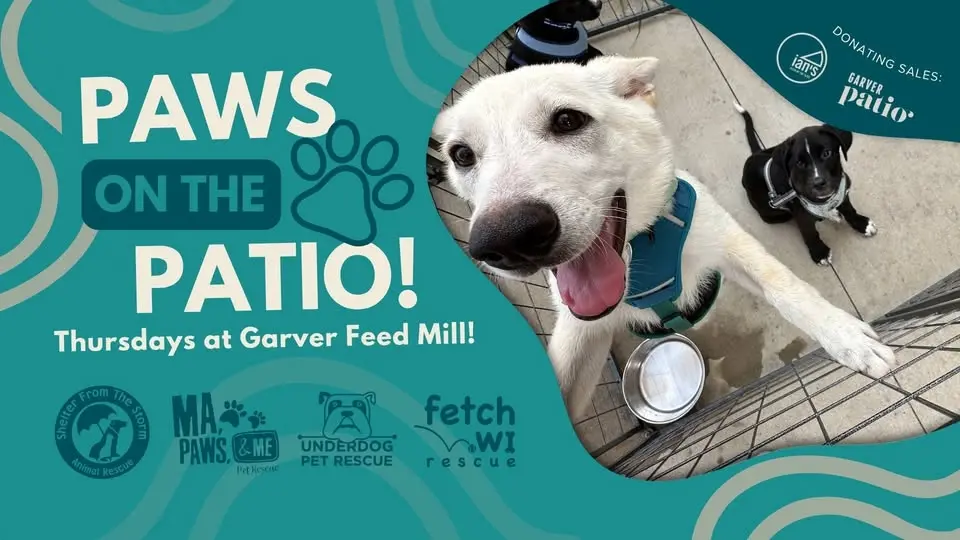 Paws on the Patio Featuring Fetch WI Rescue