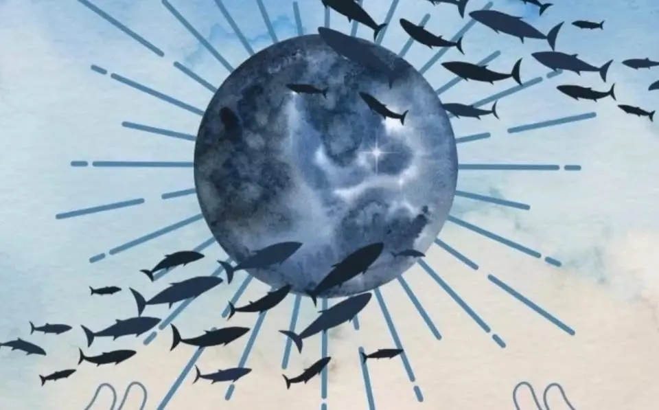 ๐๐ AUGUST STURGEON MOON MARKET ๐๐
