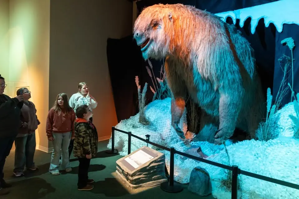 Fun Friday - The Great Ground Sloth