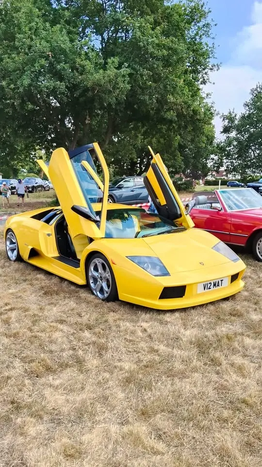 Matching Green Classic and Sports Car Show