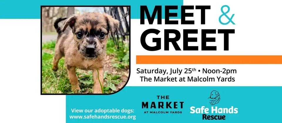 Safe Hands Rescue Meet & Greet at The Market at Malcolm Yards
