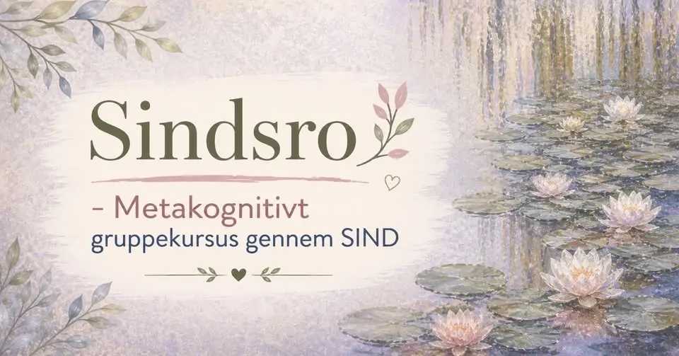 Sindsro - metakognitivt kursus gennem SIND
