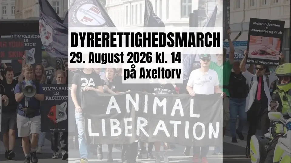 Dyrefrigørelsesmarch 2026 // Animal Liberation March 2026