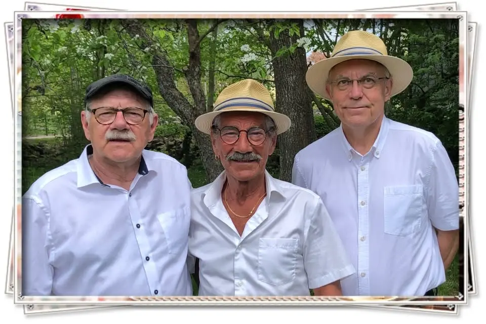 Musik i Rosengård – Pop och visor med Happes Orkester