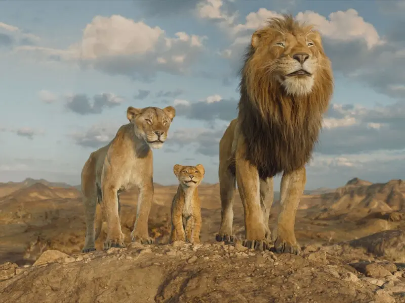 The Lion King