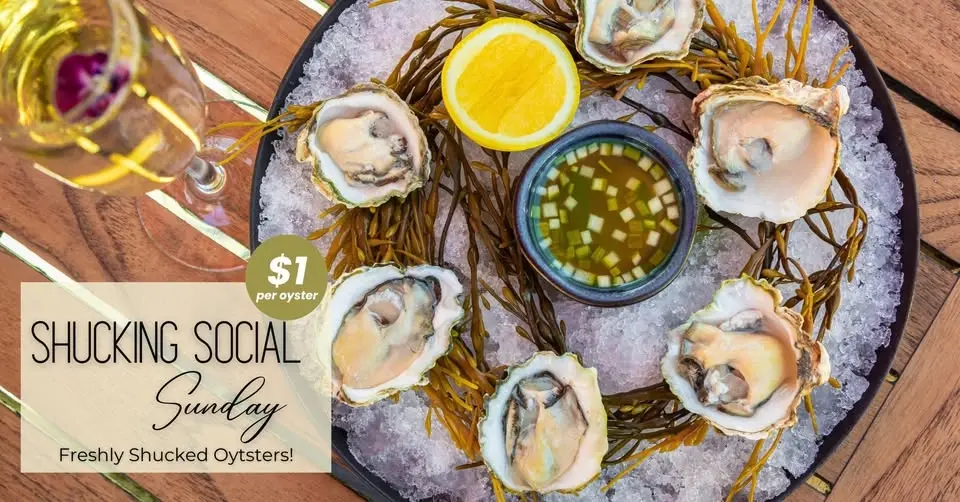 🦪SHUCKING SOCIAL SUNDAYS 🍷