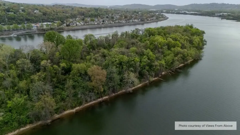 Maclellan Island Eco Tours