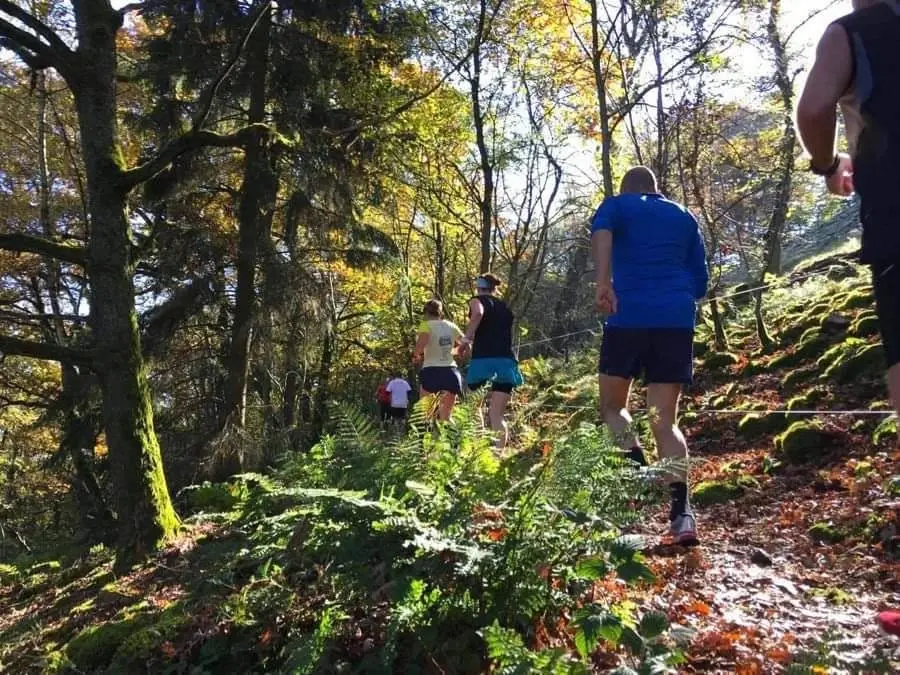 11. engelhorn sports Strahlenburgtrail