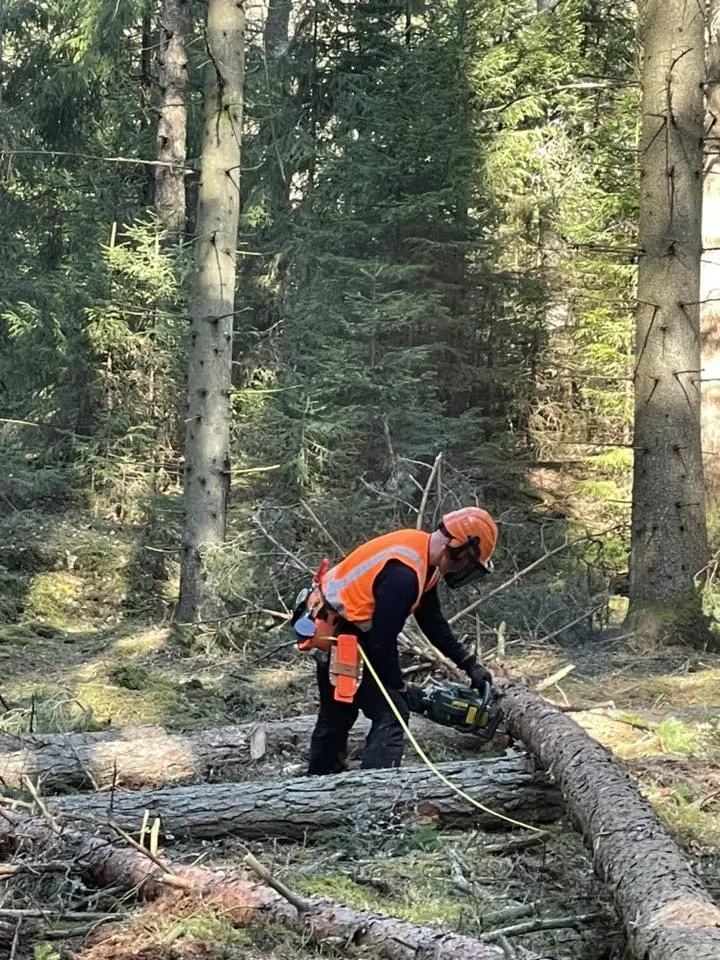 Motorsågskurs nivå AB