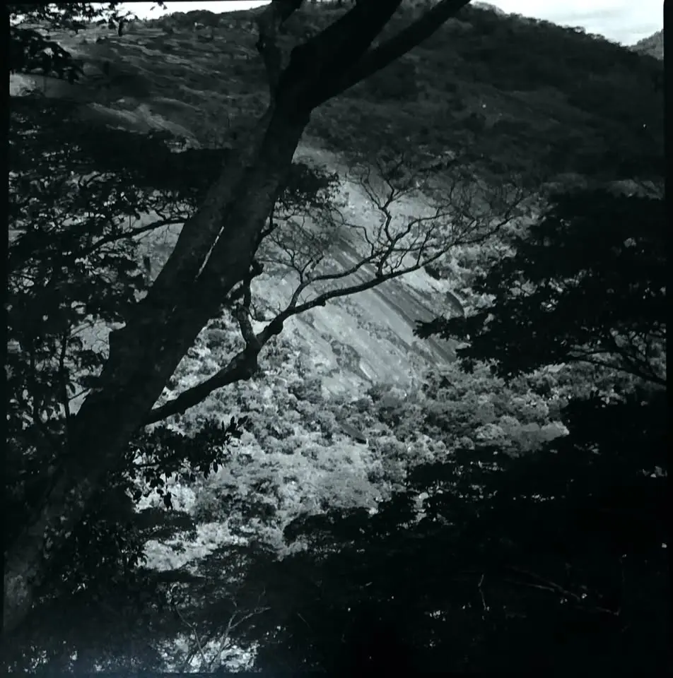 African Landscapes Analogical landscape photography from the African bush (part 2)