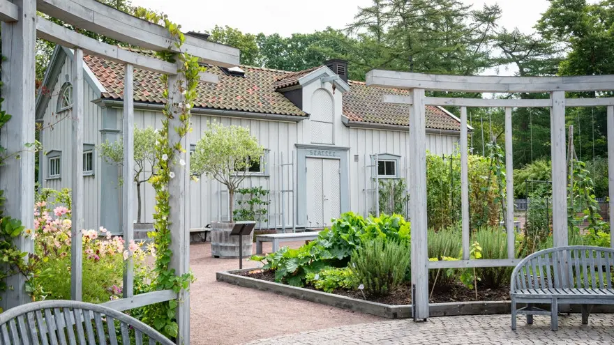 Kulturträdgårdarna och klonarkivet
