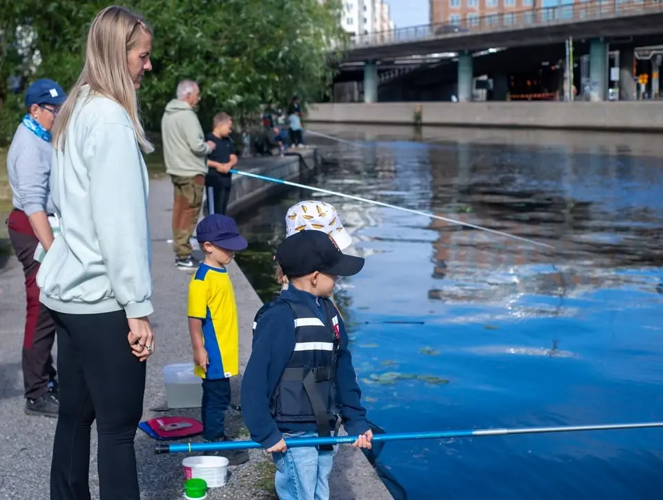 Första Metarda’n 2026