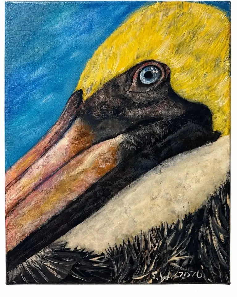 Pelican Study Workshop