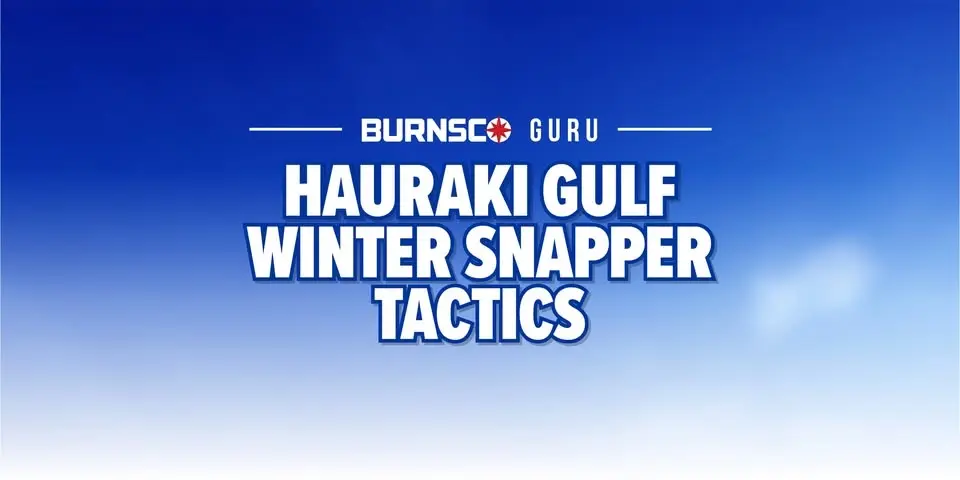 Hauraki Winter Snapper Tactics
