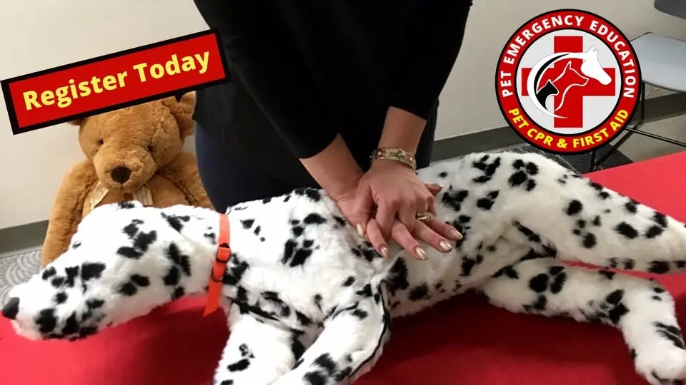 Pet CPR and First Aid Certification Class and Fundraiser Las Vegas, NV
