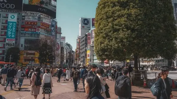 Japanska nybörjare, A1 del 1