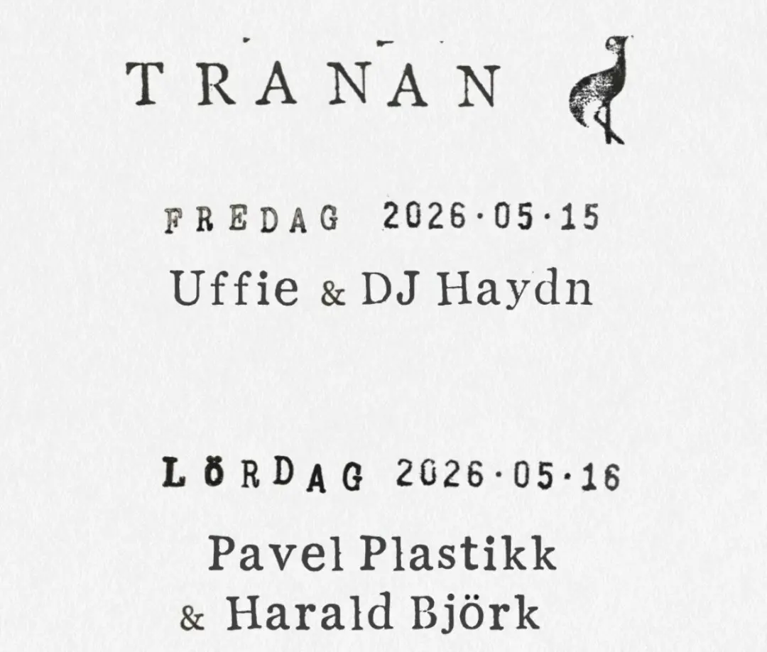 Harald Björk / Pavlo Plastikk