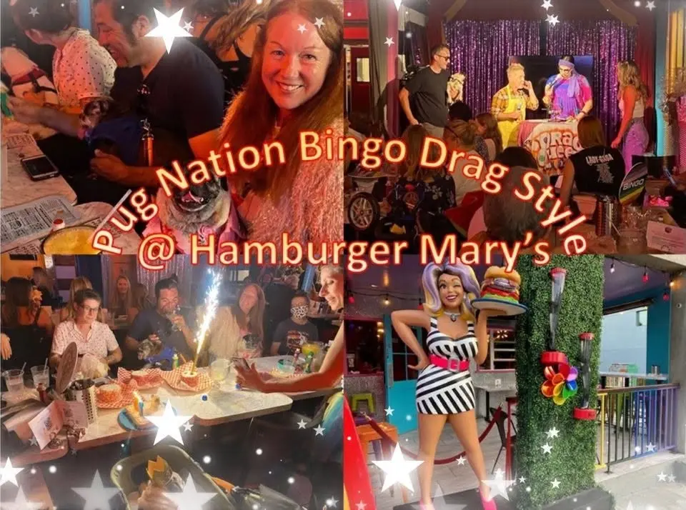 Drag Queen BINGO!