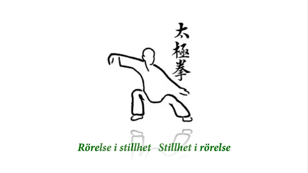 Tai Chi & Qi Gong - Friskvård på Norra Berget!