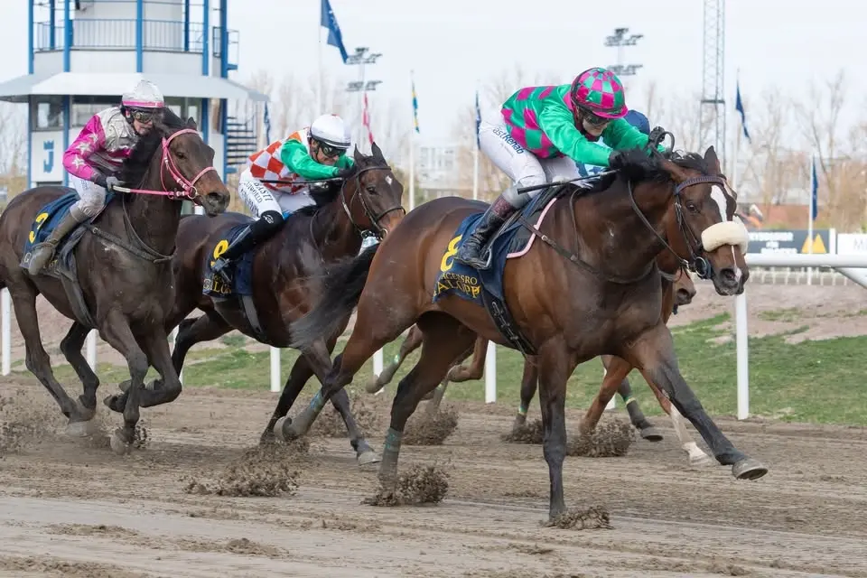 Galopptävlingar och ponnygalopp på Jägersro Galopp 🏇
