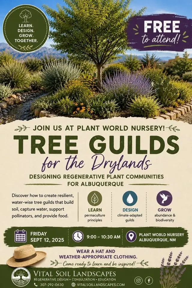 Tree Guilds for the Drylands - Plant World Nursery