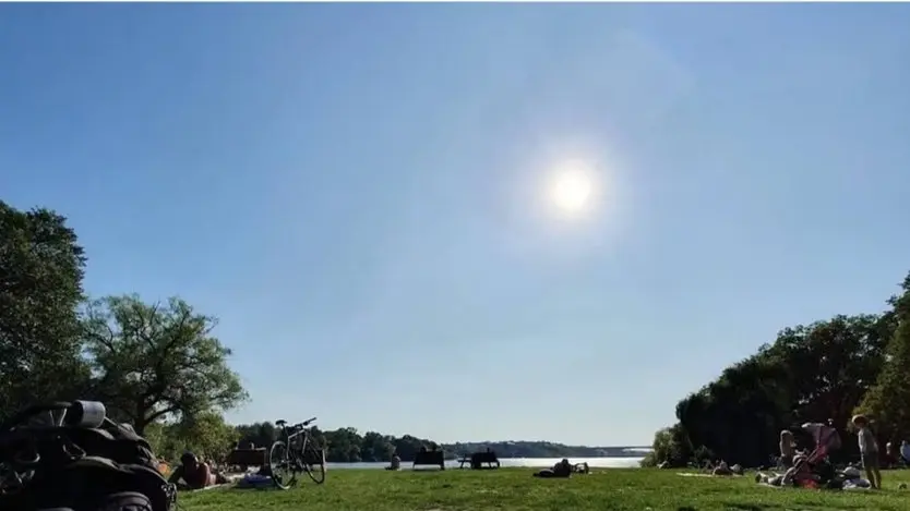 Tysk-svensk Picknick