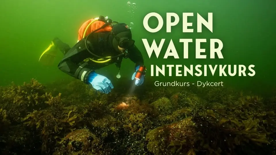 Dykcert, Grundkurs, Open Water Intensivkurs
