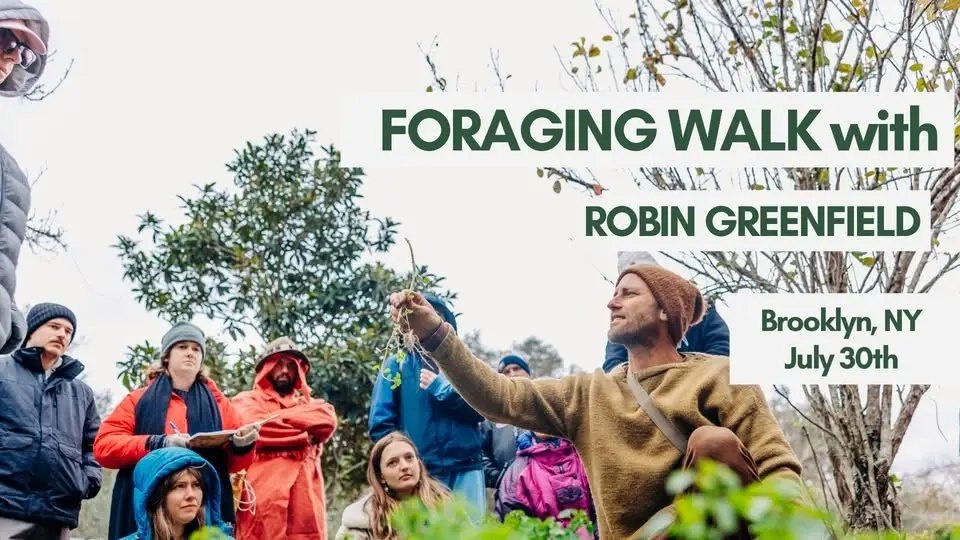 Foraging Walk with Robin Greenfield in Brooklyn