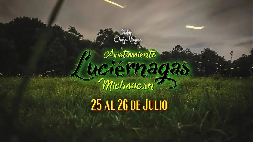 🌲✨🌲Luciérnagas Michoacán🌲✨🌲