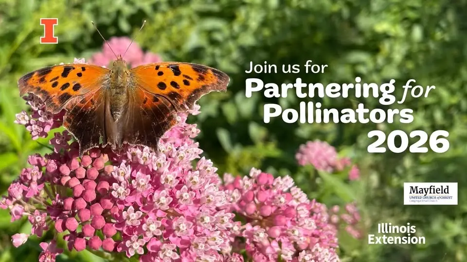 Why Native Plants Matter: Supporting Biodiversity and Wildlife in Our Own Yards | Sycamore