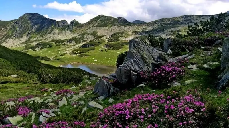 TRANSILVANIJSKI ALPI - ZEMLJA PLAVIH OČIJU, NACIONALNI PARK “RETEZAT” JUŽNI KARPATI, RUMUNIJA