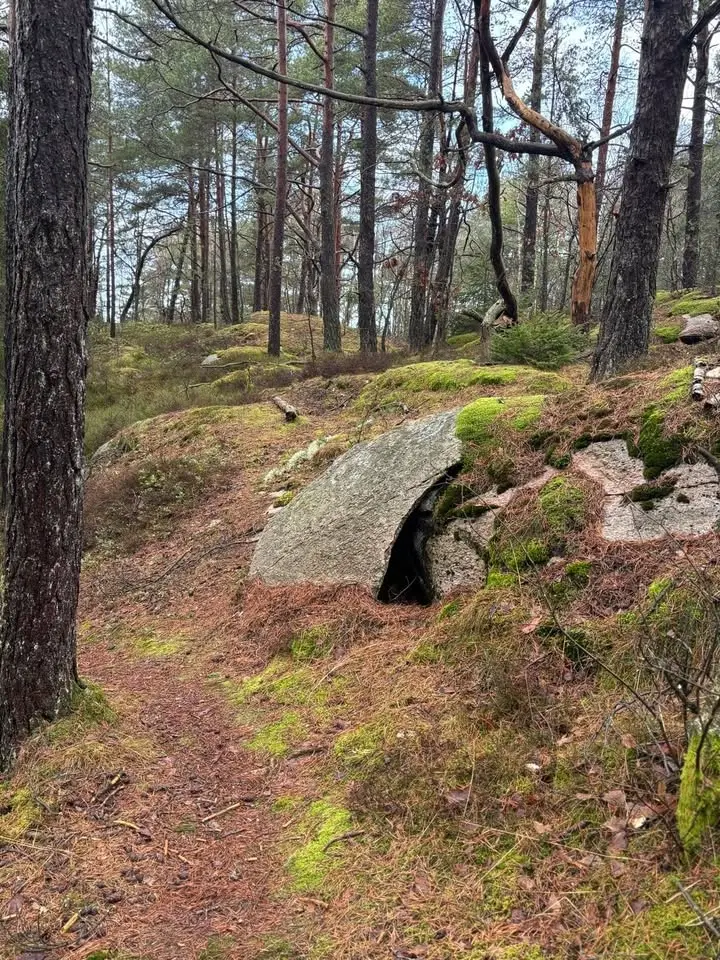 Säve Trail Run
