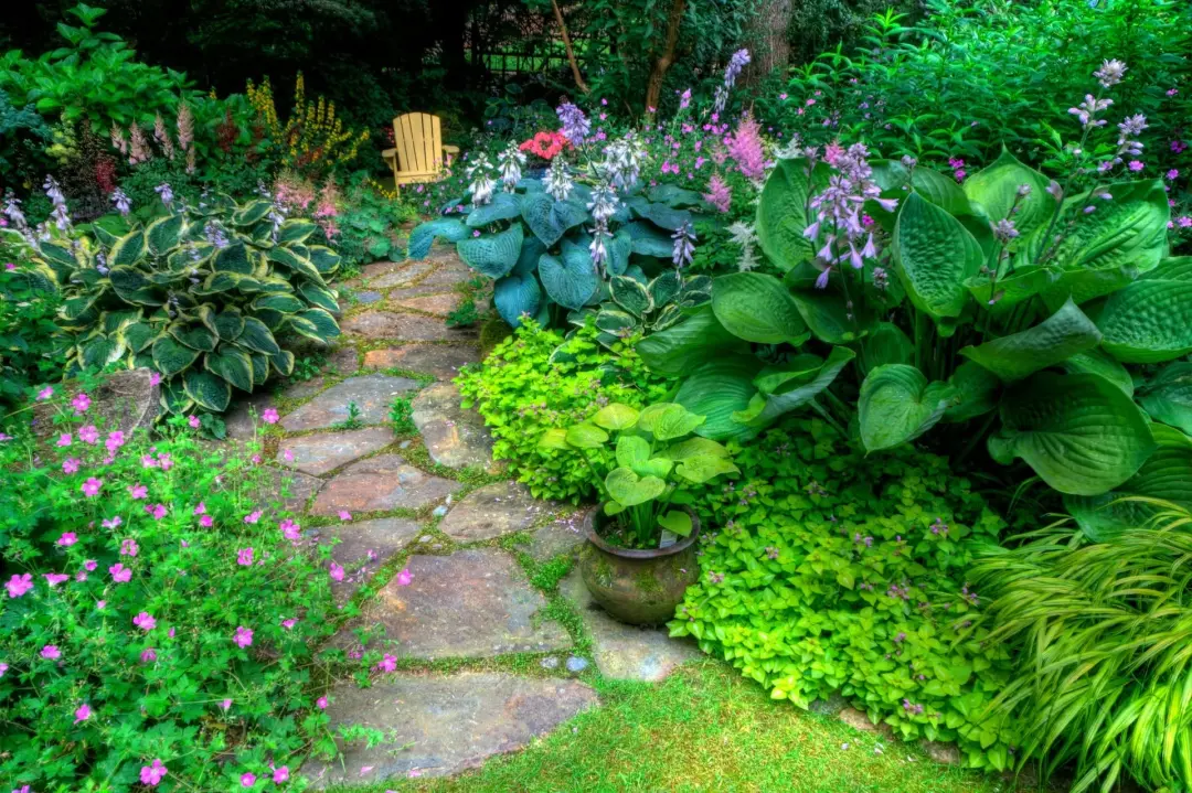 Shade Gardening