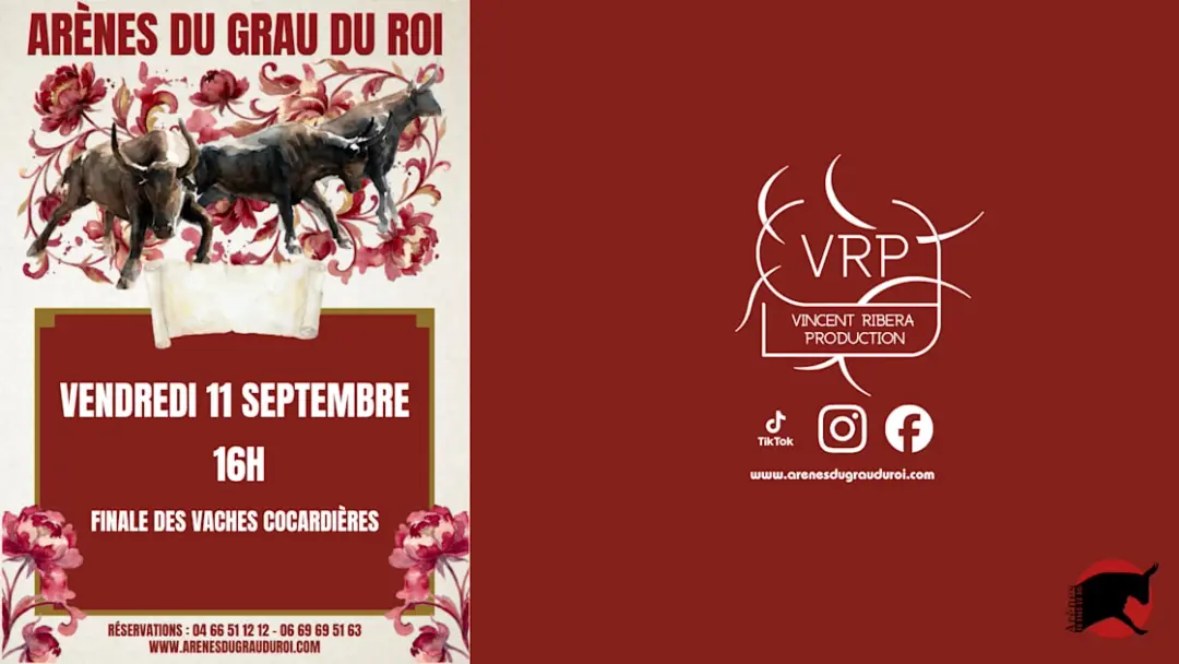 Course Camarguaise - Finale Des Vaches Cocardieres