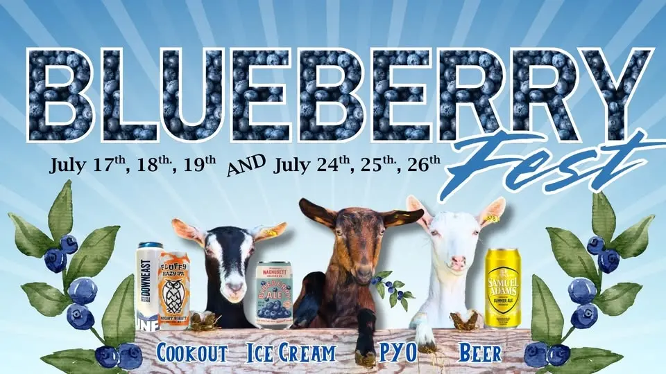 BLUEBERRY FESTIVAL