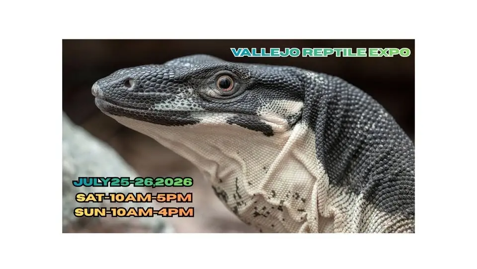 Vallejo Reptile & Oddities Expo