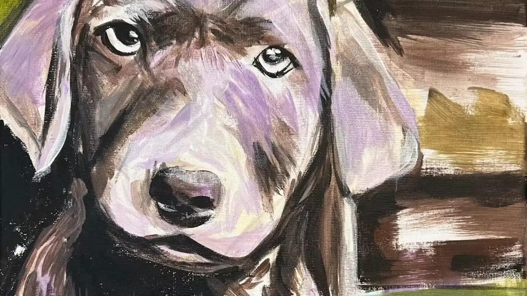 Sip & Paint Your Pet