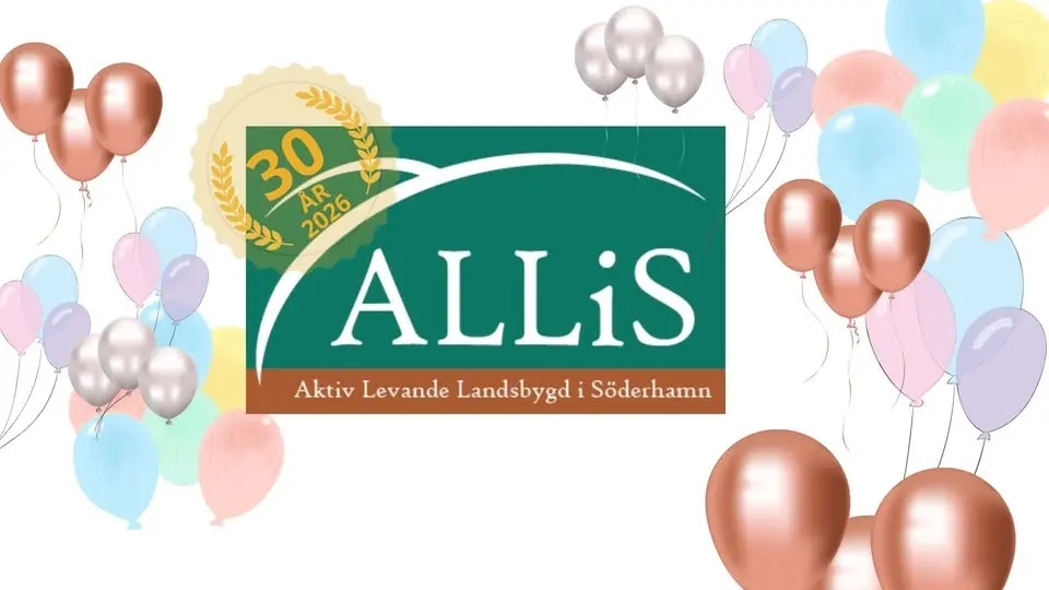 ALLiS 30år
