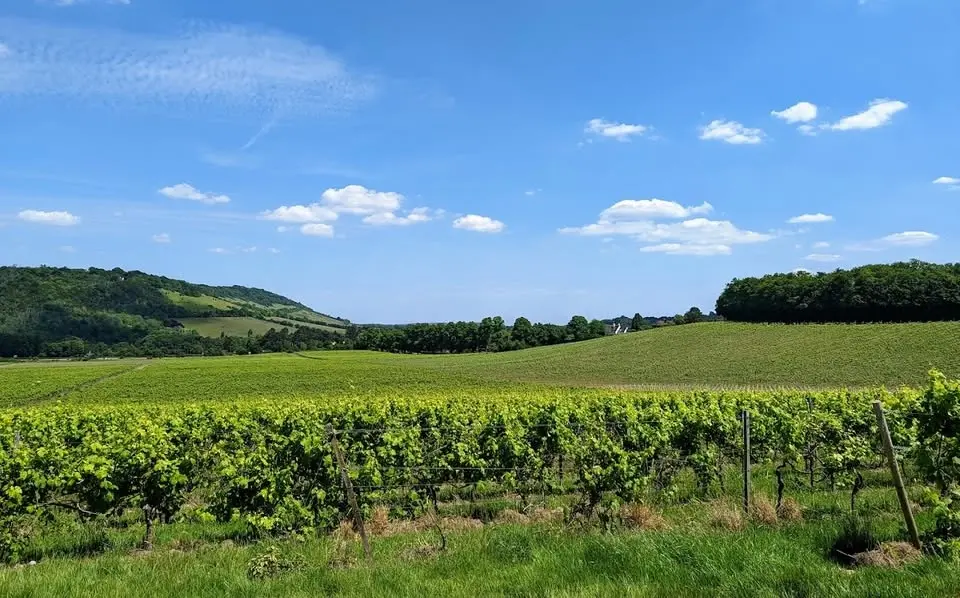 MABAC -Denbies - TUESDAY NIGHT - Dorking Mole Valley