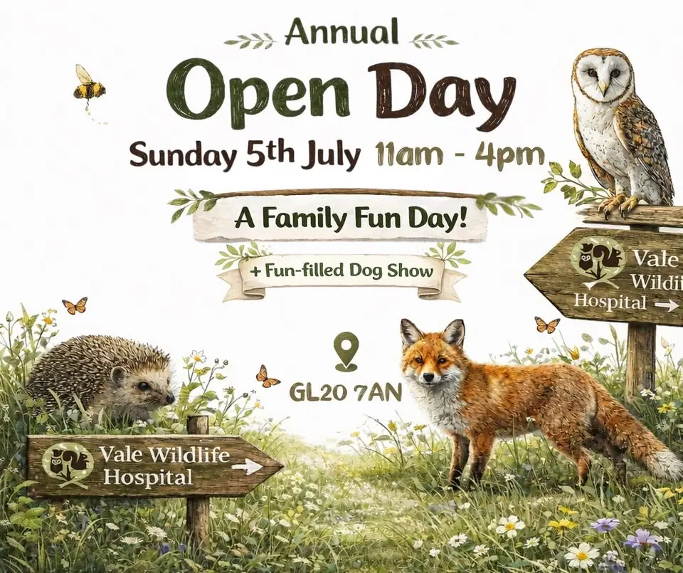 Vale Wildlife Hospital's Annual Open Day