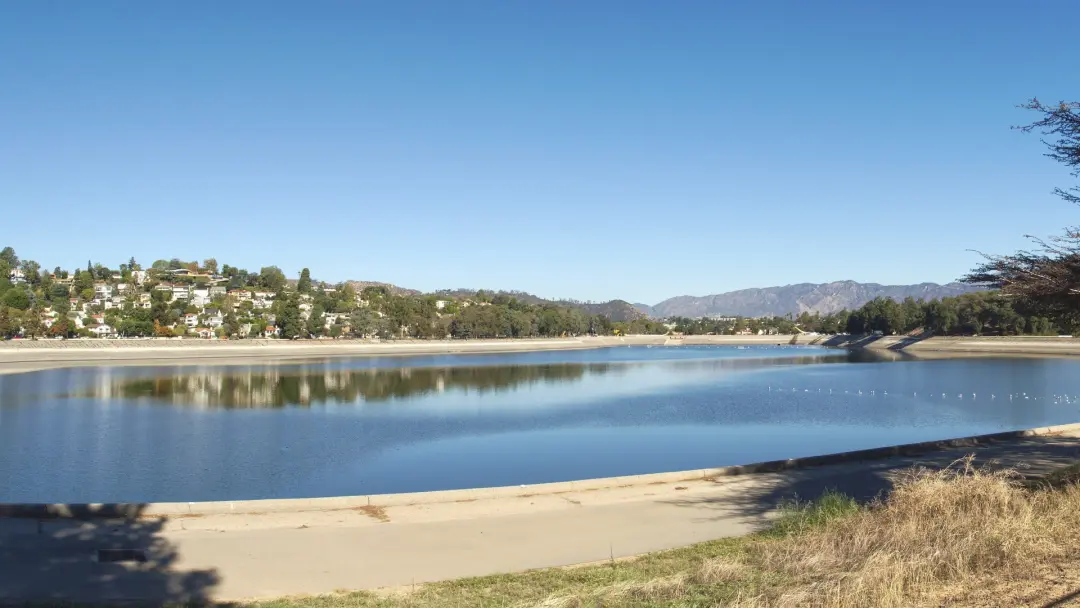 Wednesday Social Walk Around Silver Lake
