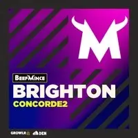 Beefmince x Brighton Bear Weekend