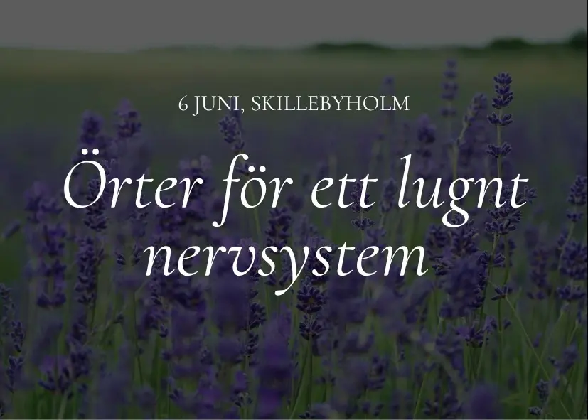 Örter för ett lugnt nervsystem - kurs på Skillebyholm